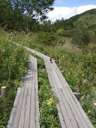 f0185066_22462617.jpg