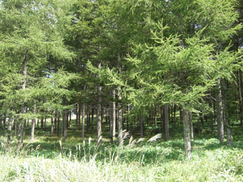 f0185066_22491355.jpg