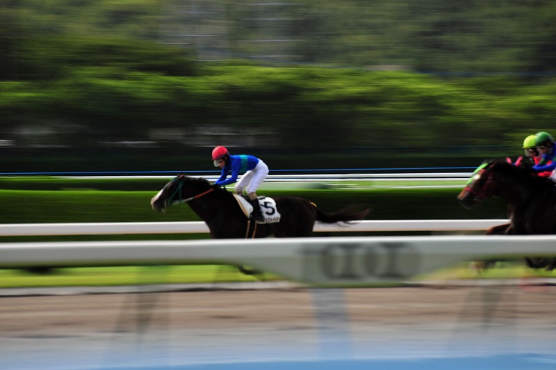 最後の夏レース　　小倉競馬_b0131167_1137963.jpg