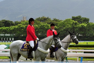 最後の夏レース　　小倉競馬_b0131167_11475893.jpg