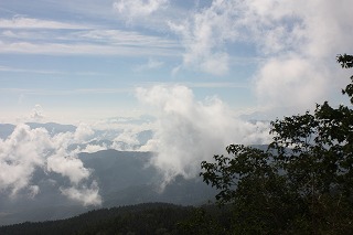 f0052068_20345531.jpg