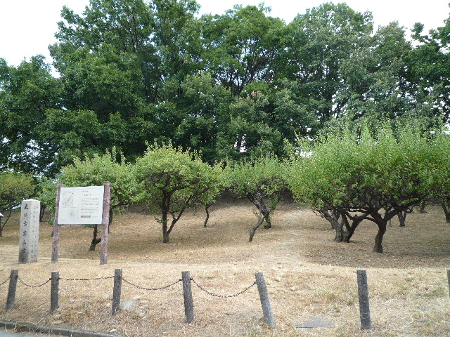 誉田八幡宮と応神天皇陵  ②_f0215268_20283534.jpg