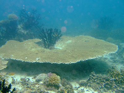 b0033573_2253389.jpg