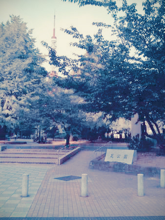 b0148274_1631215.jpg