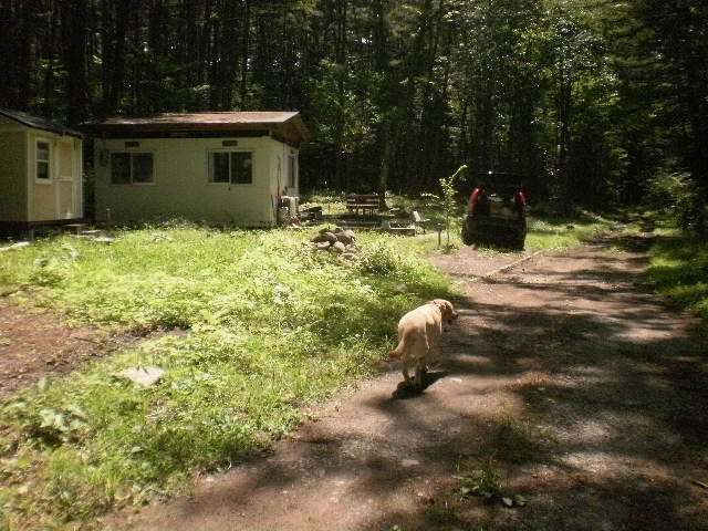 f0052277_365673.jpg