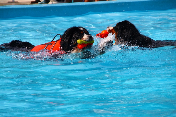c0149178_99738.jpg