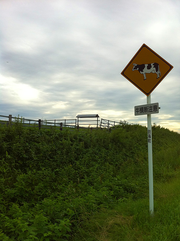 北海道ツーリング2010夏：5日目_e0186780_1314756.jpg