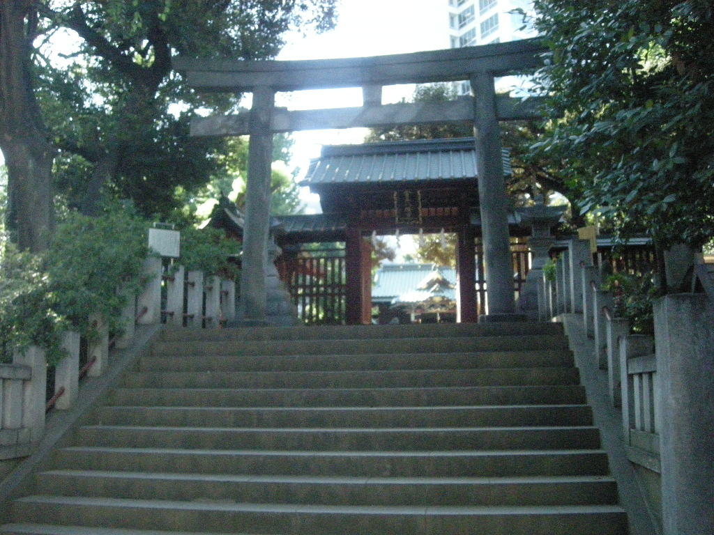 a0105981_1515678.jpg