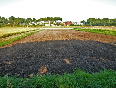 c0145581_17563452.jpg