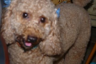 2010年9月9日 オウチリゾート_b0098584_1871446.jpg