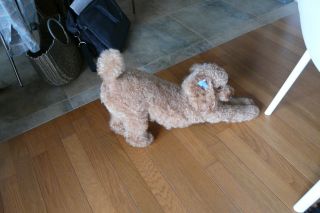 2010年9月9日 オウチリゾート_b0098584_1873634.jpg