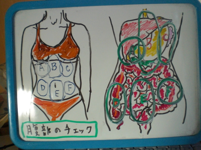 腹部のチェック 整体 ツボゲッチューりらく屋 朝霞 腹部のチェック 整体 ツボゲッチューりらく屋 朝霞