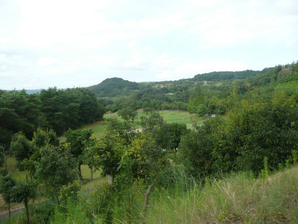三木市某ゴルフ場でのゴルフ on 2010-9-1_b0118987_1642757.jpg