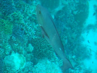 d0153294_20102161.jpg
