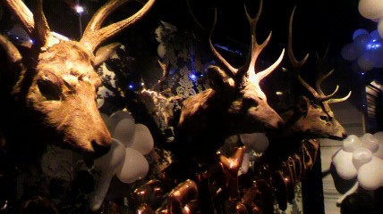 f0197497_121474.jpg