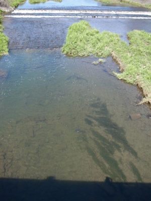 c0069903_16552177.jpg