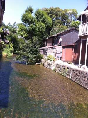 c0069903_1703867.jpg