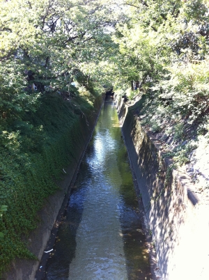 c0069903_17402974.jpg