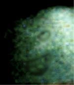 e0103408_14175634.gif