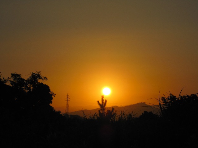 d0081210_14275963.jpg