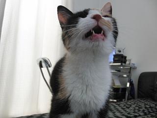 c0201113_20583710.jpg