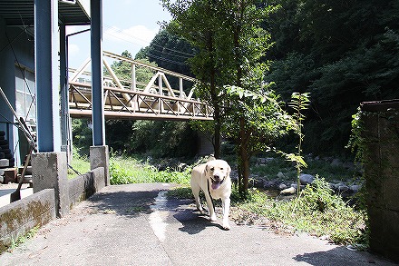f0191413_11581482.jpg