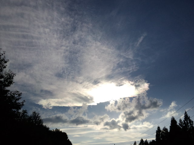 b0207514_23333849.jpg