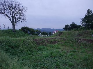 c0110117_1750392.jpg