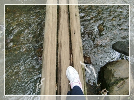 f0182121_7272015.jpg