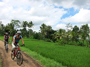 d0023725_21521729.jpg