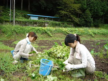 神奈川から再びワークステイに来てくれました(その2)_e0061225_15121955.jpg