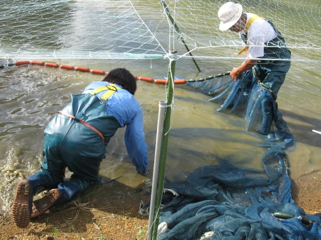 f0214235_20341998.jpg