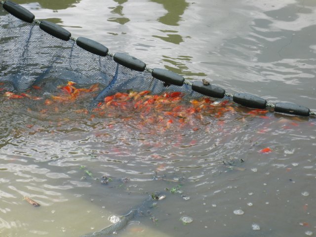 f0214235_20352142.jpg