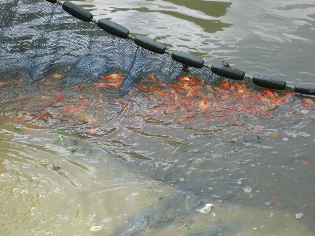 f0214235_20353383.jpg