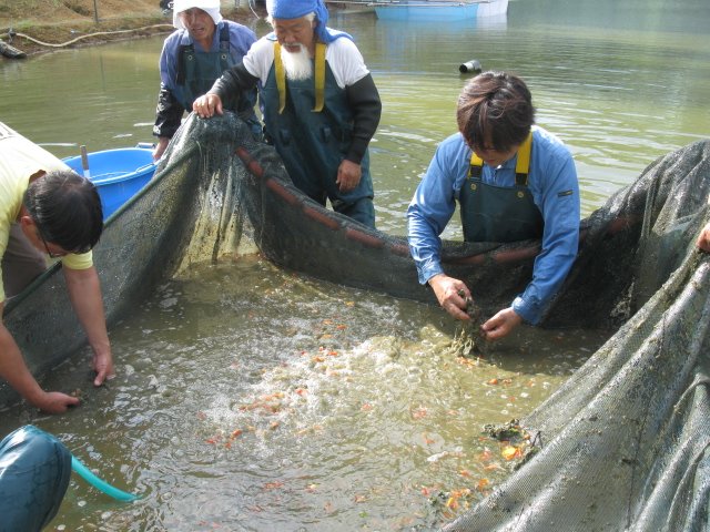 f0214235_2043844.jpg