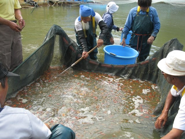 f0214235_20553313.jpg
