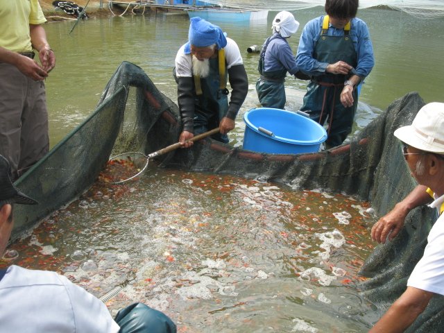 f0214235_20555192.jpg
