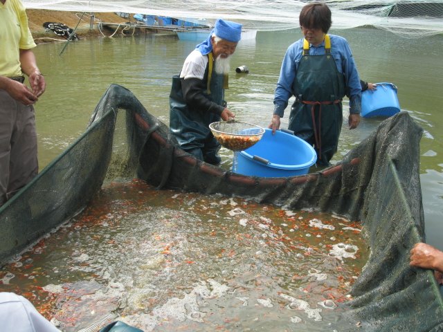 f0214235_20582680.jpg