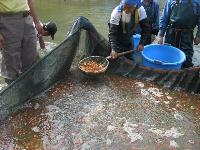 f0214235_20595548.jpg