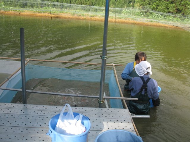f0214235_21101583.jpg