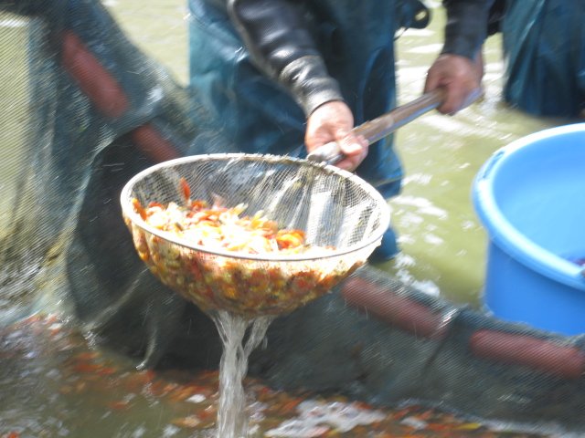 f0214235_2112711.jpg