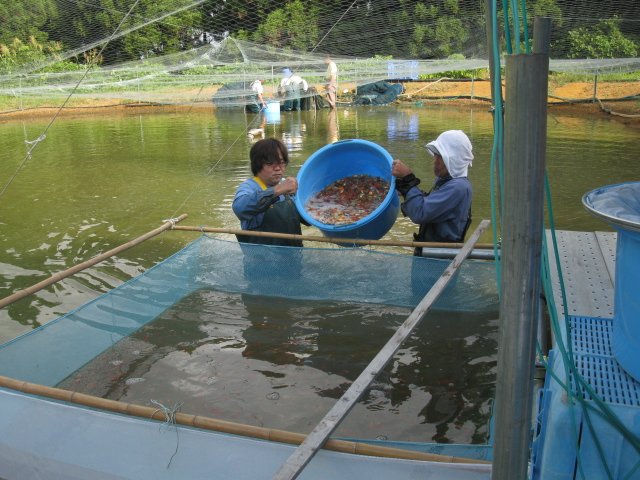 f0214235_21133167.jpg
