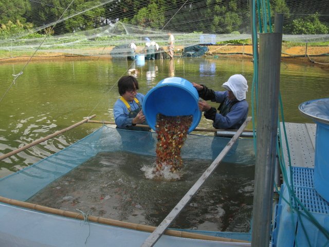 f0214235_21134826.jpg