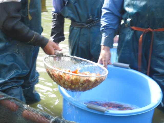 f0214235_2114263.jpg
