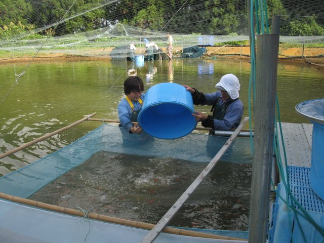 f0214235_211469.jpg