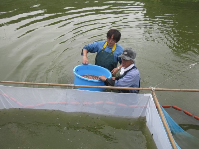 f0214235_2115444.jpg