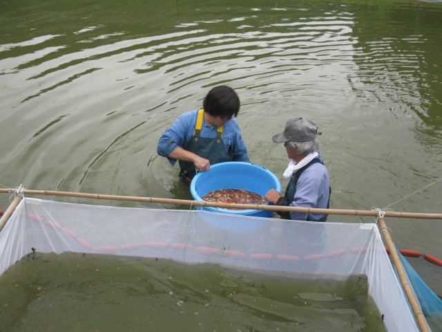 f0214235_21161745.jpg