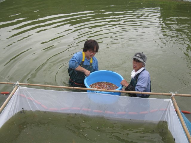 f0214235_21163669.jpg