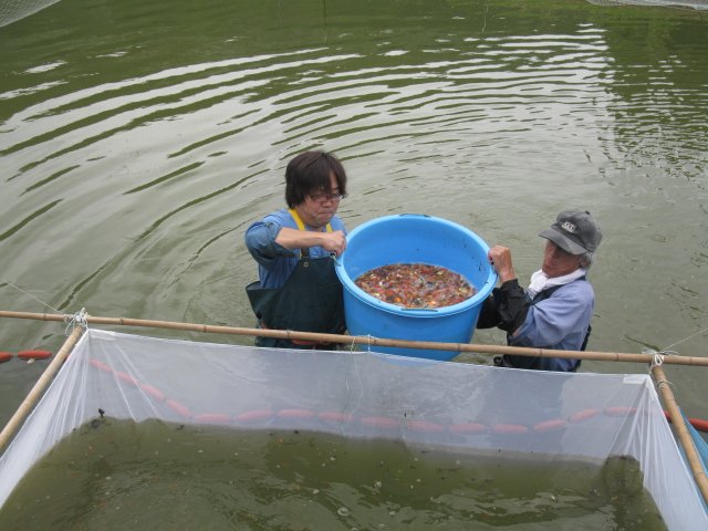 f0214235_21165124.jpg