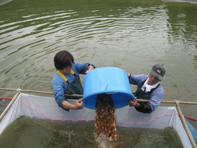 f0214235_21173462.jpg